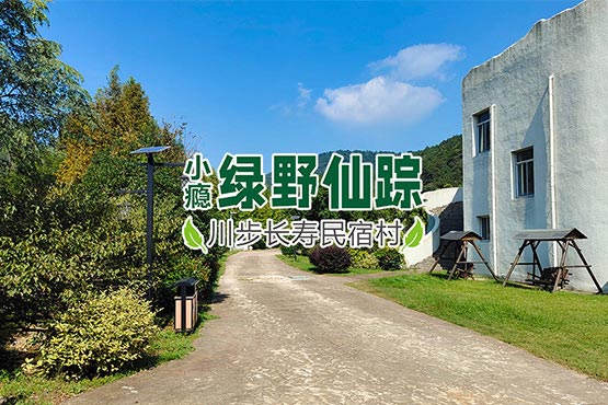 安吉民宿,安吉十大民宿,安吉民宿预订