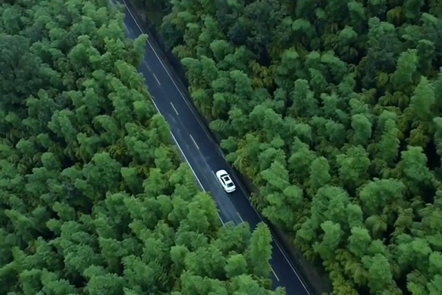 安吉民宿,安吉十大民宿