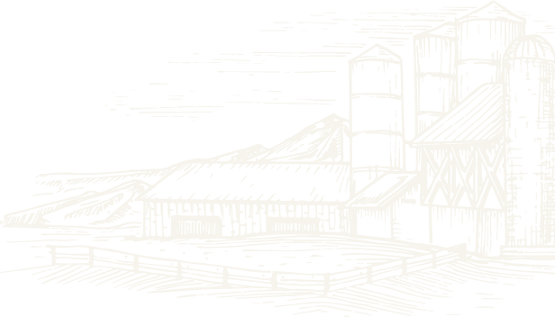 小瘾·绿野仙踪,川步村民宿,川步长寿村