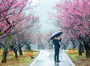 小瘾·绿野仙踪,川步村民宿,川步长寿村