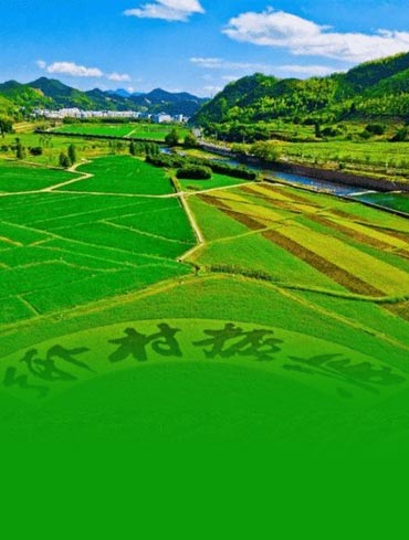 小瘾·绿野仙踪,川步村民宿,川步长寿村