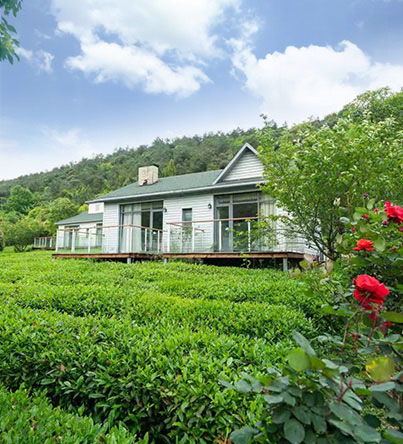 小瘾·绿野仙踪,川步村民宿,川步长寿村