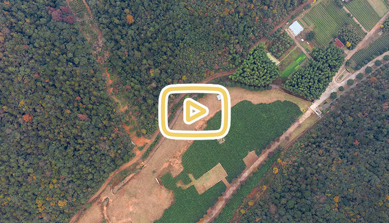 小瘾·绿野仙踪,川步村民宿,川步长寿村