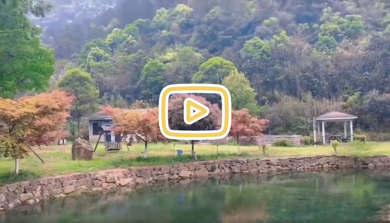 小瘾·绿野仙踪,川步村民宿,川步长寿村